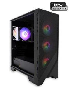 AMD Ryzen 3 PRO 4350G / 16GB RAM DDR4 / 480GB SSD / NO GPU / Windows 11 Pro